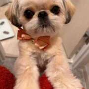 ヒメ日記 2025/11/29 23:16 投稿 桜蘭ひなの（パイパン・エロ尻） ソープランド ZERO