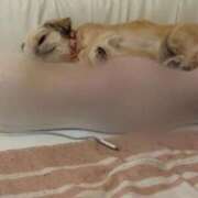 ヒメ日記 2025/11/30 00:16 投稿 桜蘭ひなの（パイパン・エロ尻） ソープランド ZERO