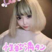 ヒメ日記 2025/11/30 17:06 投稿 桜蘭ひなの（パイパン・エロ尻） ソープランド ZERO