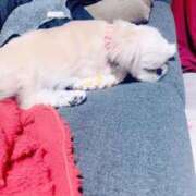 ヒメ日記 2025/12/05 22:26 投稿 桜蘭ひなの（パイパン・エロ尻） ソープランド ZERO