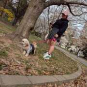 ヒメ日記 2026/04/27 23:37 投稿 桜蘭ひなの（パイパン・エロ尻） ソープランド ZERO