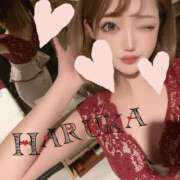 ヒメ日記 2025/11/04 16:46 投稿 仁王はるか（美尻・美乳・H好き） ソープランド ZERO