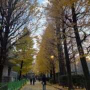 ヒメ日記 2025/12/03 18:16 投稿 仁王はるか（美尻・美乳・H好き） ソープランド ZERO