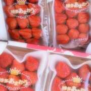 ヒメ日記 2025/04/11 17:56 投稿 おうか麗（爆乳・M・乳挟） ソープランド ZERO