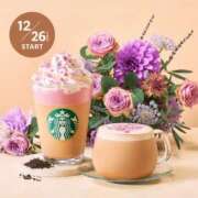 ヒメ日記 2024/12/22 16:16 投稿 柏瑠々(巨乳・美尻・エロイ) ソープランド ZERO