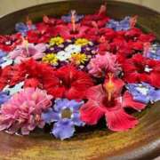 ヒメ日記 2025/03/10 20:16 投稿 柏瑠々(巨乳・美尻・エロイ) ソープランド ZERO