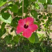 ヒメ日記 2025/03/23 17:16 投稿 柏瑠々(巨乳・美尻・エロイ) ソープランド ZERO