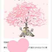 ヒメ日記 2025/04/08 00:26 投稿 柏瑠々(巨乳・美尻・エロイ) ソープランド ZERO