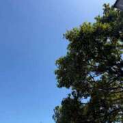 ヒメ日記 2025/04/10 06:26 投稿 柏瑠々(巨乳・美尻・エロイ) ソープランド ZERO