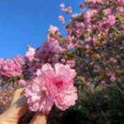 ヒメ日記 2025/04/30 11:06 投稿 柏瑠々(巨乳・美尻・エロイ) ソープランド ZERO