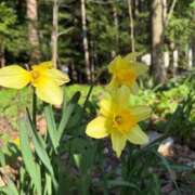 ヒメ日記 2025/05/07 15:50 投稿 柏瑠々(巨乳・美尻・エロイ) ソープランド ZERO