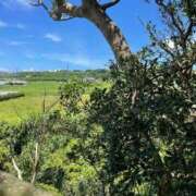 ヒメ日記 2025/05/31 02:38 投稿 柏瑠々(巨乳・美尻・エロイ) ソープランド ZERO