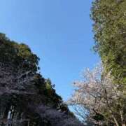 ヒメ日記 2025/06/15 14:16 投稿 柏瑠々(巨乳・美尻・エロイ) ソープランド ZERO