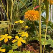 ヒメ日記 2025/08/01 14:37 投稿 柏瑠々(巨乳・美尻・エロイ) ソープランド ZERO