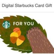 ヒメ日記 2025/09/20 18:55 投稿 柏瑠々(巨乳・美尻・エロイ) ソープランド ZERO