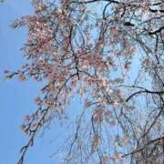 ヒメ日記 2026/04/27 22:21 投稿 柏瑠々(巨乳・美尻・エロイ) ソープランド ZERO