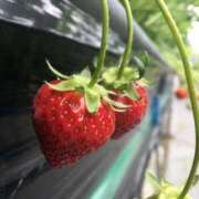 ヒメ日記 2025/09/20 14:15 投稿 かれん アバンチュール（難波）