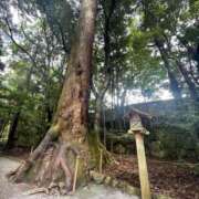 ヒメ日記 2025/09/20 18:07 投稿 かれん アバンチュール（難波）