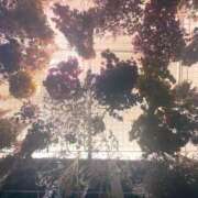 ヒメ日記 2025/12/10 22:19 投稿 かれん アバンチュール（難波）