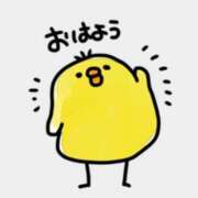 ヒメ日記 2026/08/23 09:01 投稿 小春(こはる) 厚木奥様Life