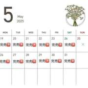 ヒメ日記 2025/05/22 03:52 投稿 大谷　ひな マ・ジ・メSPA（マジメスパ）～Blue＆Another Ｓky～