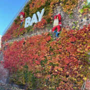 ヒメ日記 2024/12/10 17:08 投稿 かえで 奥鉄オクテツ東京店（デリヘル市場）