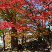 ヒメ日記 2025/11/19 11:15 投稿 かえで 奥鉄オクテツ東京店（デリヘル市場）