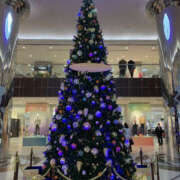 ヒメ日記 2025/12/08 20:50 投稿 みなと 奥鉄オクテツ東京店（デリヘル市場）