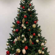 ヒメ日記 2025/12/17 00:58 投稿 みなと 奥鉄オクテツ東京店（デリヘル市場）