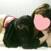 こはく お知らせしたい ニューヨーカー