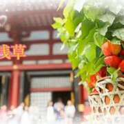 ヒメ日記 2025/07/10 13:17 投稿 るい 奥鉄オクテツ東京店（デリヘル市場）