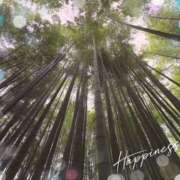 るい 雨の… 奥鉄オクテツ東京店（デリヘル市場）