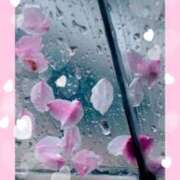 ヒメ日記 2026/04/04 13:10 投稿 るい 奥鉄オクテツ東京店（デリヘル市場）