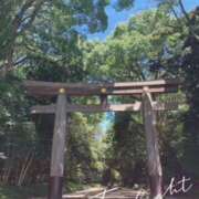 ヒメ日記 2026/04/19 11:46 投稿 るい 奥鉄オクテツ東京店（デリヘル市場）