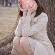 ヒメ日記 2026/03/31 19:53 投稿 ありす ドンファン