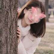 ヒメ日記 2026/04/08 19:45 投稿 ありす ドンファン