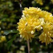 ヒメ日記 2025/05/20 14:45 投稿 いぶき 逆痴漢