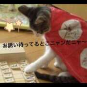 ヒメ日記 2024/12/12 22:25 投稿 すみれ 奥様鉄道69 東京店