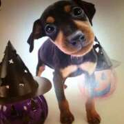 ヒメ日記 2024/12/19 19:50 投稿 すみれ 奥様鉄道69 東京店