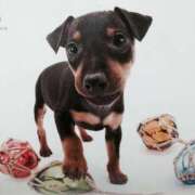 ヒメ日記 2025/01/04 22:05 投稿 すみれ 奥様鉄道69 東京店