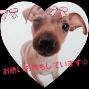 ヒメ日記 2025/02/02 22:15 投稿 すみれ 奥様鉄道69 東京店