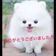 ヒメ日記 2025/02/16 19:25 投稿 すみれ 奥様鉄道69 東京店