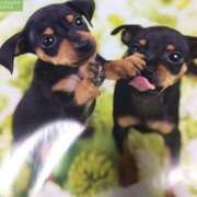 ヒメ日記 2025/02/24 21:03 投稿 すみれ 奥様鉄道69 東京店