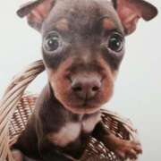 ヒメ日記 2025/05/10 22:55 投稿 すみれ 奥様鉄道69 東京店