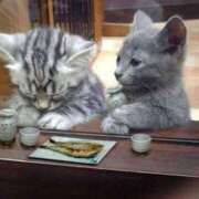 ヒメ日記 2025/05/15 21:25 投稿 すみれ 奥様鉄道69 東京店