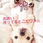 ヒメ日記 2025/05/17 22:45 投稿 すみれ 奥様鉄道69 東京店