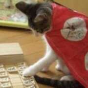 ヒメ日記 2025/05/20 19:55 投稿 すみれ 奥様鉄道69 東京店