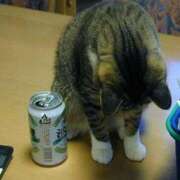 ヒメ日記 2025/05/28 23:05 投稿 すみれ 奥様鉄道69 東京店