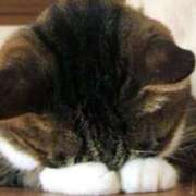 ヒメ日記 2025/06/03 22:35 投稿 すみれ 奥様鉄道69 東京店