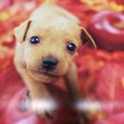 ヒメ日記 2025/06/06 22:55 投稿 すみれ 奥様鉄道69 東京店